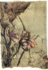 Dateiname : 1923.jpg
Dateigröße : 145KB
Abmessungen : 600x865
hinzugefügt am : 10.Juli 2013 1923.jpg